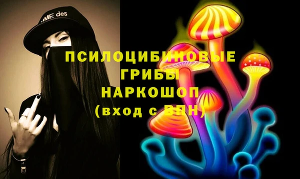 индика Заводоуковск