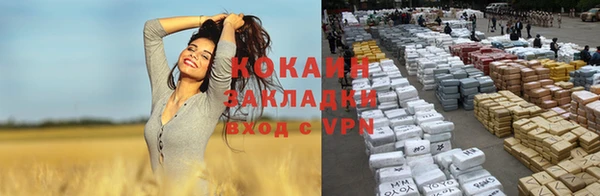 индика Заводоуковск