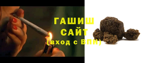 индика Заводоуковск