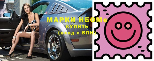 индика Заводоуковск