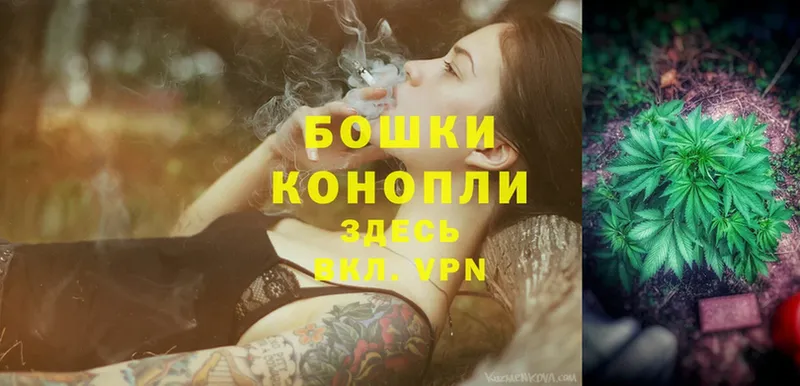 купить  цена  Искитим  Бошки марихуана Ganja 